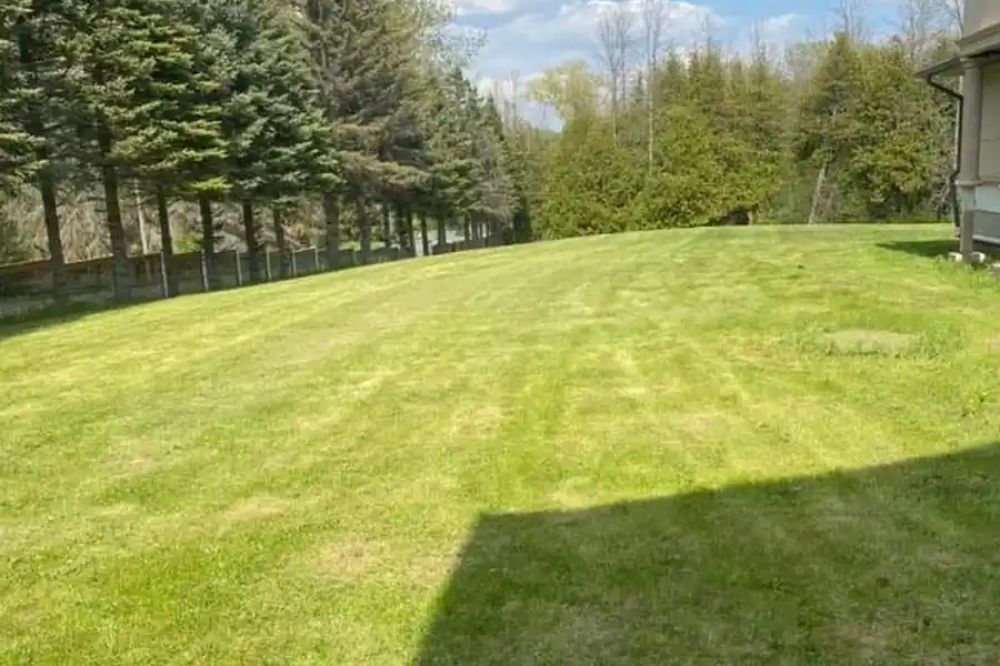 Professional Landscaping Contractor in Bradford, ON Professional Landscaping Contractor in Bradford, ON